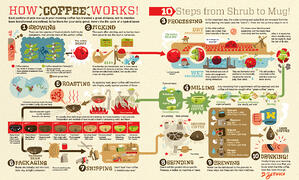 从豆 - 酿造 - 咖啡供应链